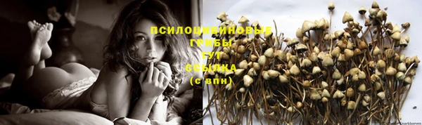 меф Пересвет