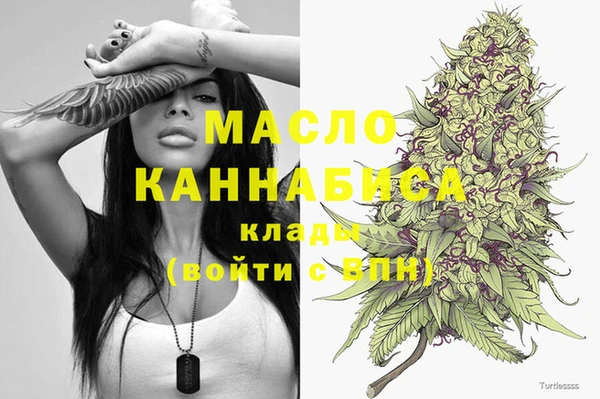 шишки Бикин