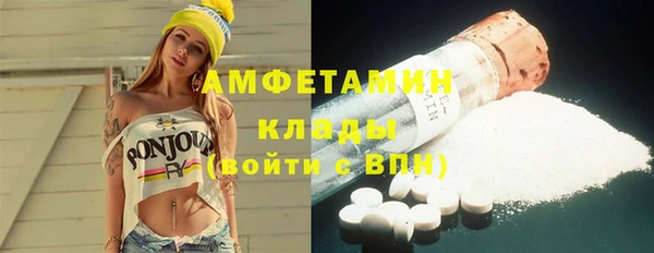 сатива Билибино