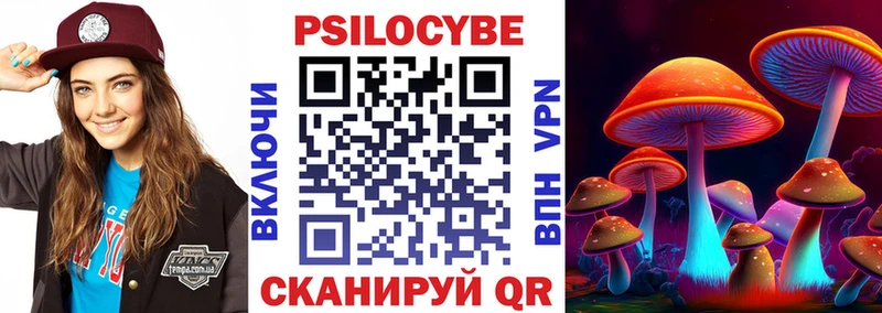 Галлюциногенные грибы Psilocybine cubensis  Борзя 