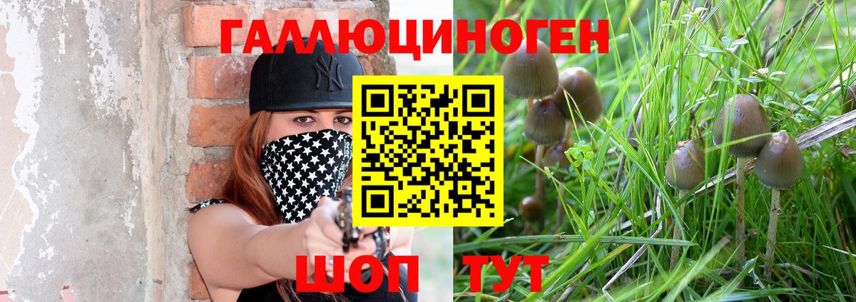 Галлюциногенные грибы мицелий Борзя