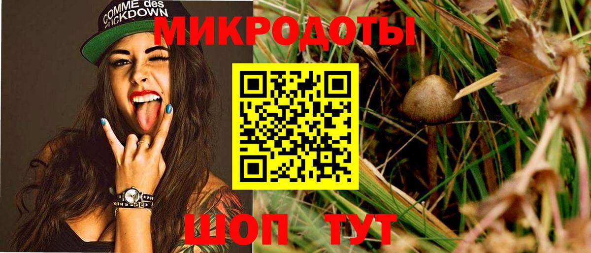 Псилоцибиновые грибы Magic Shrooms  Вход с VPN  Борзя 