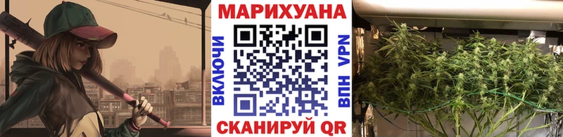 купить наркотики сайты  Борзя  Бошки марихуана семена 